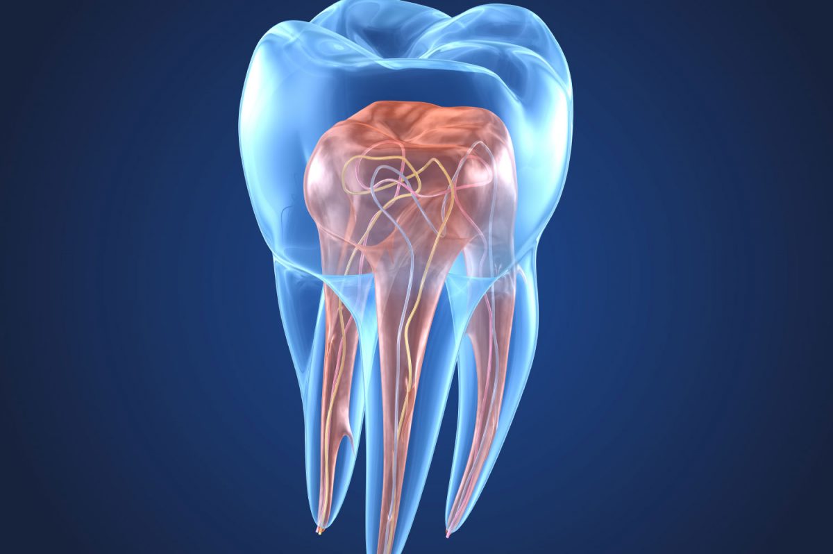 endo-1200x798.jpg